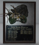 Women's Butterfly - Davock Perpetual Trophy